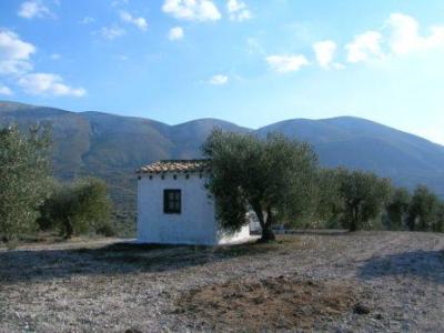 Lots/Land For sale in almudaina, alicante, Spain