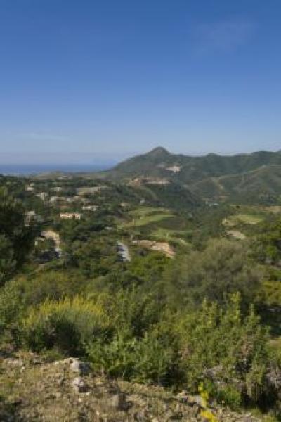 Lots/Land For sale in Benahavis, Malaga, Spain - La Zagaleta