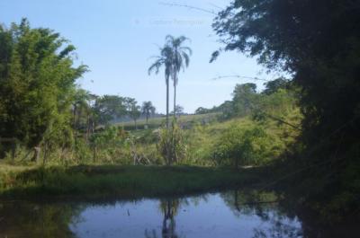 Lots/Land For sale in Sao Paulo, Sao Paulo, Brazil