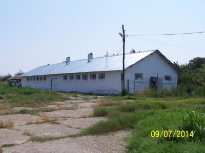 Farm/Ranch For sale in Zimnicea, Teleorman, Romania - Cuza Voda