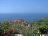 Photo of Beach House For sale in Calheta, Madeira, Portugal - Calheta