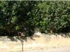 Photo of Lots/Land For sale in Estoril, Cascais, Portugal