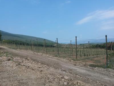 Lots/Land For sale in Pirot, Serbia, Yugoslavia - Zeleznicka 12