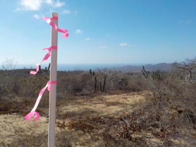 Lots/Land For sale in Cabo San Lucas, Baja California Sur, Mexico - Sin Nombre