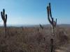 Photo of Lots/Land For sale in Cabo San Lucas, Baja California Sur, Mexico - Sin Nombre Lot 6