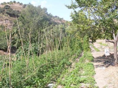 Farm/Ranch For sale in murtas, granada, Spain