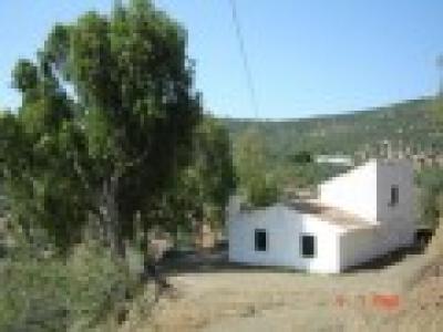 Farm/Ranch For sale in colmenar, malaga, Spain