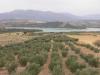 Photo of Farm/Ranch For sale in alhama de granada, granada, Spain