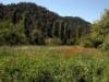 Photo of Lots/Land For sale in beas de segura, jaen, Spain