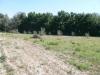 Photo of Farm/Ranch For sale in salar, granada, Spain