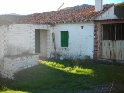 Farm/Ranch For sale in el borge, malaga, Spain