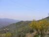 Photo of Farm/Ranch For sale in malaga, malaga, Spain