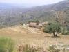 Photo of Farm/Ranch For sale in malaga, malaga, Spain