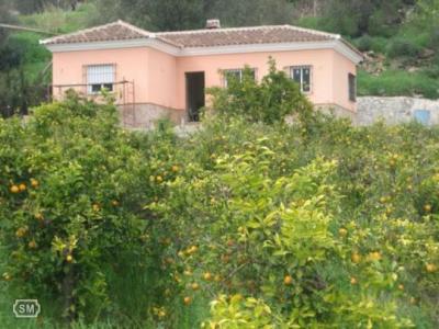 Farm/Ranch For sale in guaro, malaga, Spain