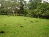 Photo of Lots/Land For sale in David, Chiriqui, Panama