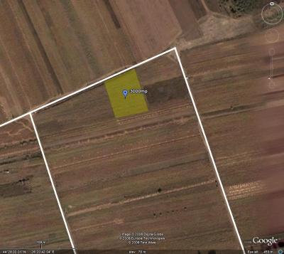 Lots/Land For sale in Cernica, Romania - Cernica