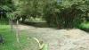 Photo of Lots/Land For sale in Panama, Panama, Panama - 168A Ingrid street