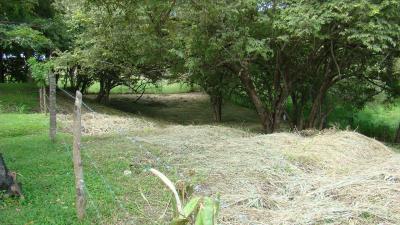 Lots/Land For sale in Panama, Panama, Panama - 168A Ingrid street