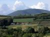 Photo of Farm/Ranch For sale in Ranilovic, Serbia, Yugoslavia - Ranilovic bb