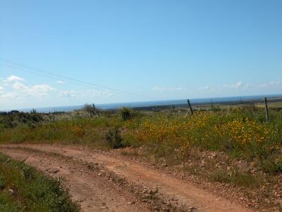 Herdade For sale in São Teotónio, Beja, Portugal