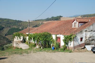 Farm For sale in Vila Real, Ermida: Douro, Portugal