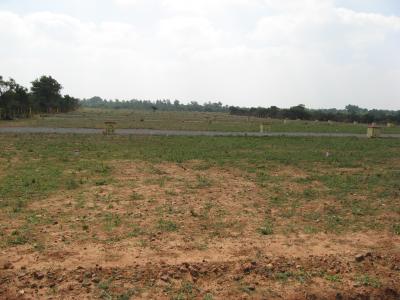 Lots/Land For sale in Trichy, Tamilnadu, India - Konallai