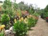 Photo of Farm/Ranch For sale in Marvão, Portugal