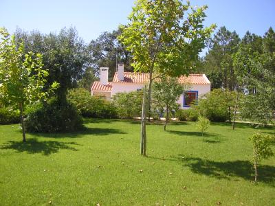 Farm/Ranch For sale in Santiago do Cacém, Santiago do Cacém, Portugal - Largo dos Caeiros 37