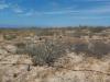 Photo of Lots/Land For sale in Todos Santos, Baja California Sur, Mexico - Sin Nombre