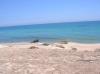 Photo of Lots/Land For sale in El Cardonal, Baja California Sur, Mexico - Beach Road to El Cardonal