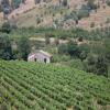 Photo of Farm/Ranch For sale in Piedimonte Etneo, Catania, Italy