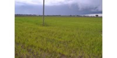 Lots/Land For sale in Francavilla Fontana, PUGLIA, Italy - Via per Villa Castelli