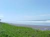 Photo of Lots/Land For sale in Palmar, Chiriqui, Panama - Palmar Sur