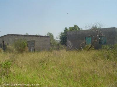 Farm/Ranch For sale in MERIDA, YUCATAN, Mexico - DZILAM GONZALES