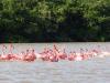 Photo of Lots/Land For sale in Celestun, Yucatan, Mexico