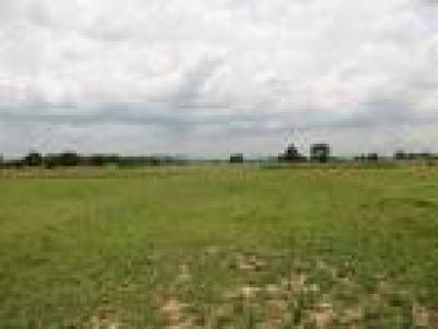 Lots/Land For sale in Trichy, Tamilnadu, India - Konallai