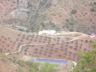 Farm/Ranch For sale in malaga, malaga, Spain