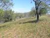 Photo of Farm/Ranch For sale in casabermeja, malaga, Spain