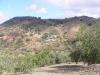 Photo of Farm/Ranch For sale in malaga, malaga, Spain