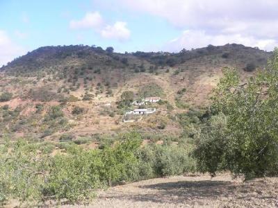 Farm/Ranch For sale in malaga, malaga, Spain