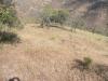 Photo of Farm/Ranch For sale in malaga, malaga, Spain