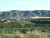 Photo of Farm/Ranch For sale in alhaurin de la torre, Spain