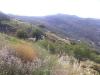 Photo of Farm/Ranch For sale in malaga, malaga, Spain