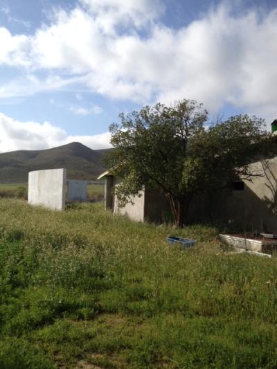 Farm/Ranch For sale in el porvenir, baja california north, Mexico - san marcos 11