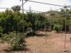 Photo of Farm/Ranch For sale in ingenio, gran canaria, Spain - severo ochoa